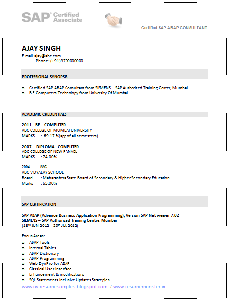 Technology consulting resume examples